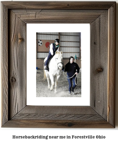 horseback riding near me in Forestville, Ohio